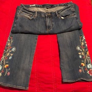 Driftwood size 28 embellished jeans